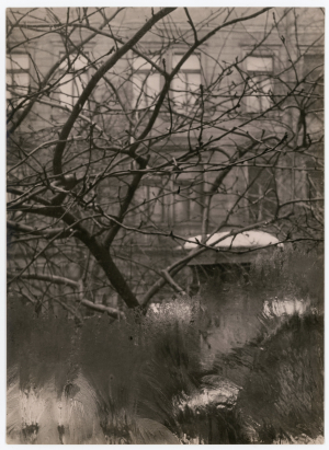 Josef Sudek (1896-1976)
