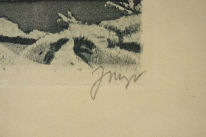 Josef Mayer (1895–1952) | Most císaře Františka Josefa I. v Praze