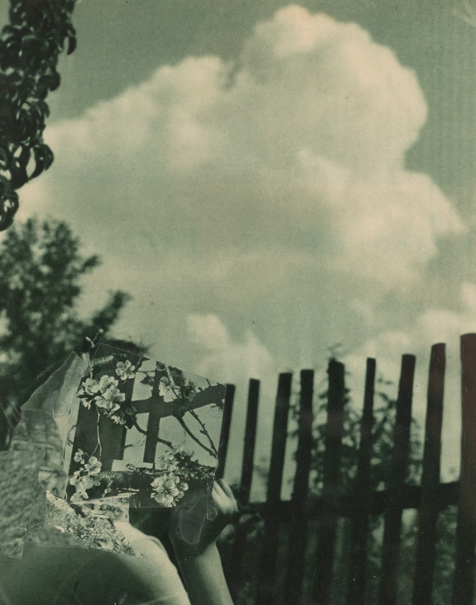 Vasil Artamonov a Alexey Klyuykov