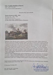 Braunerová Zdenka, Sběračka bylin