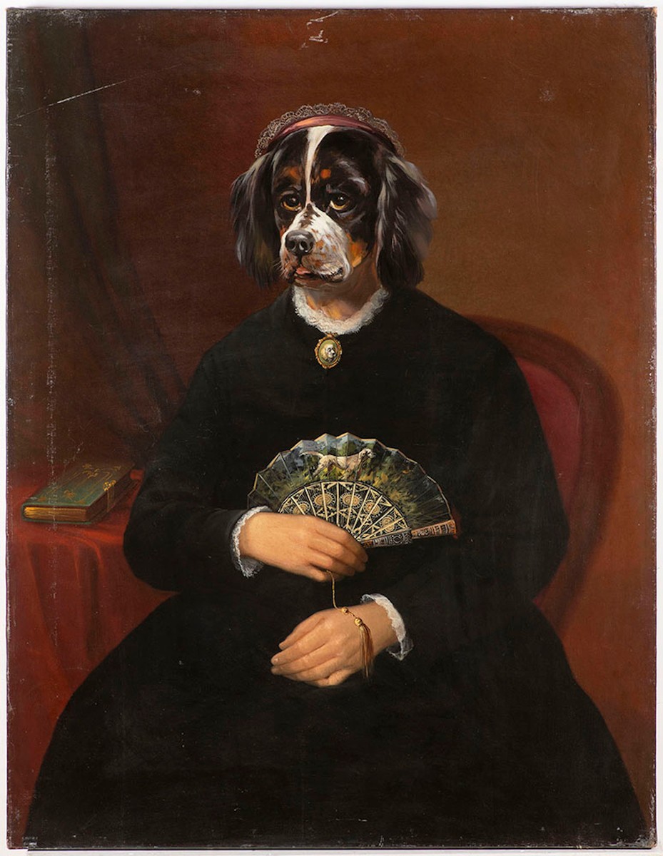 English hot sale painter dog