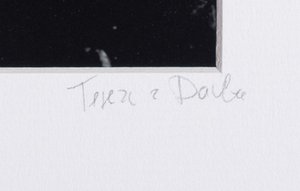 Tereza z Davle (1975) - Susan