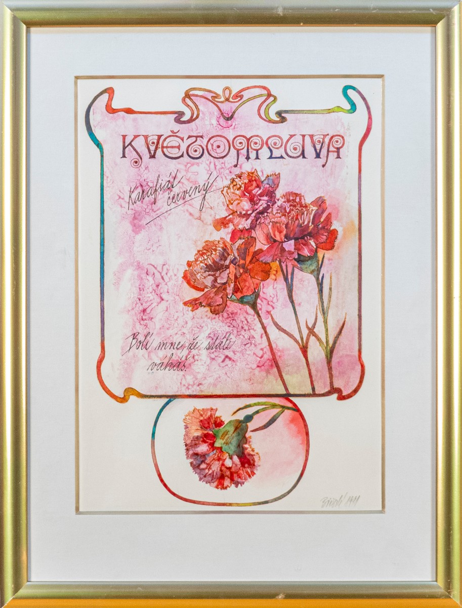 Jaroslava Bičovská (*1945) | Květomluva – Karafiát červený
