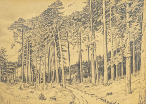 Jiří Židlický (1895–1950) | Borovicový háj
