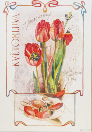Jaroslava Bičovská (*1945) | Květomluva – Tulipán červený