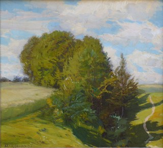ALOIS KALVODA (1875-1934) - LETNÍ KRAJINA S ÚVOZEM