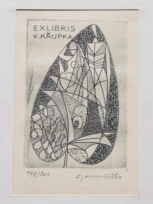 Dušan Janoušek