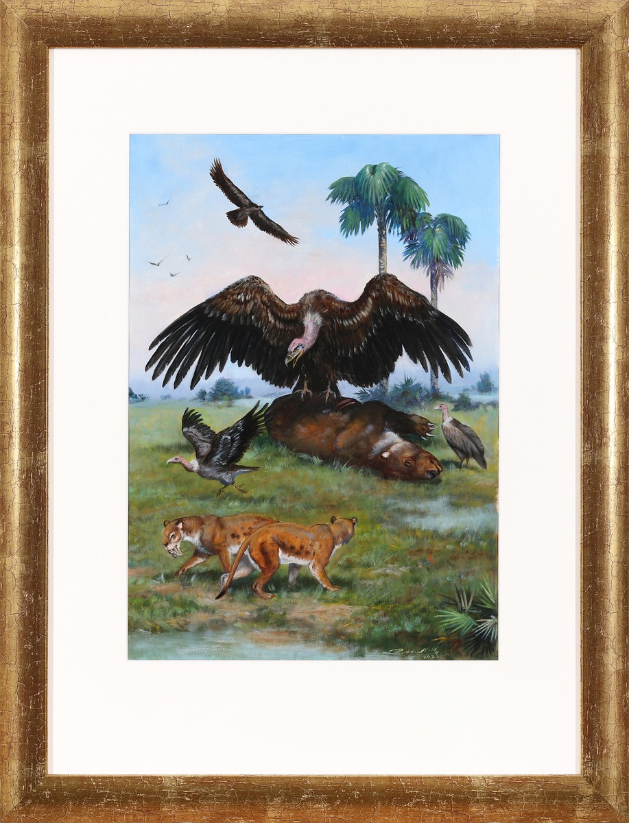 Petr Modlitba - Argentavis Magnificens - Exkluzivní novoroční aukce ...