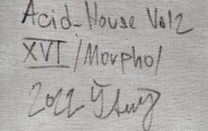 Karel Štědrý (1985) - Acid house Vol. 2
