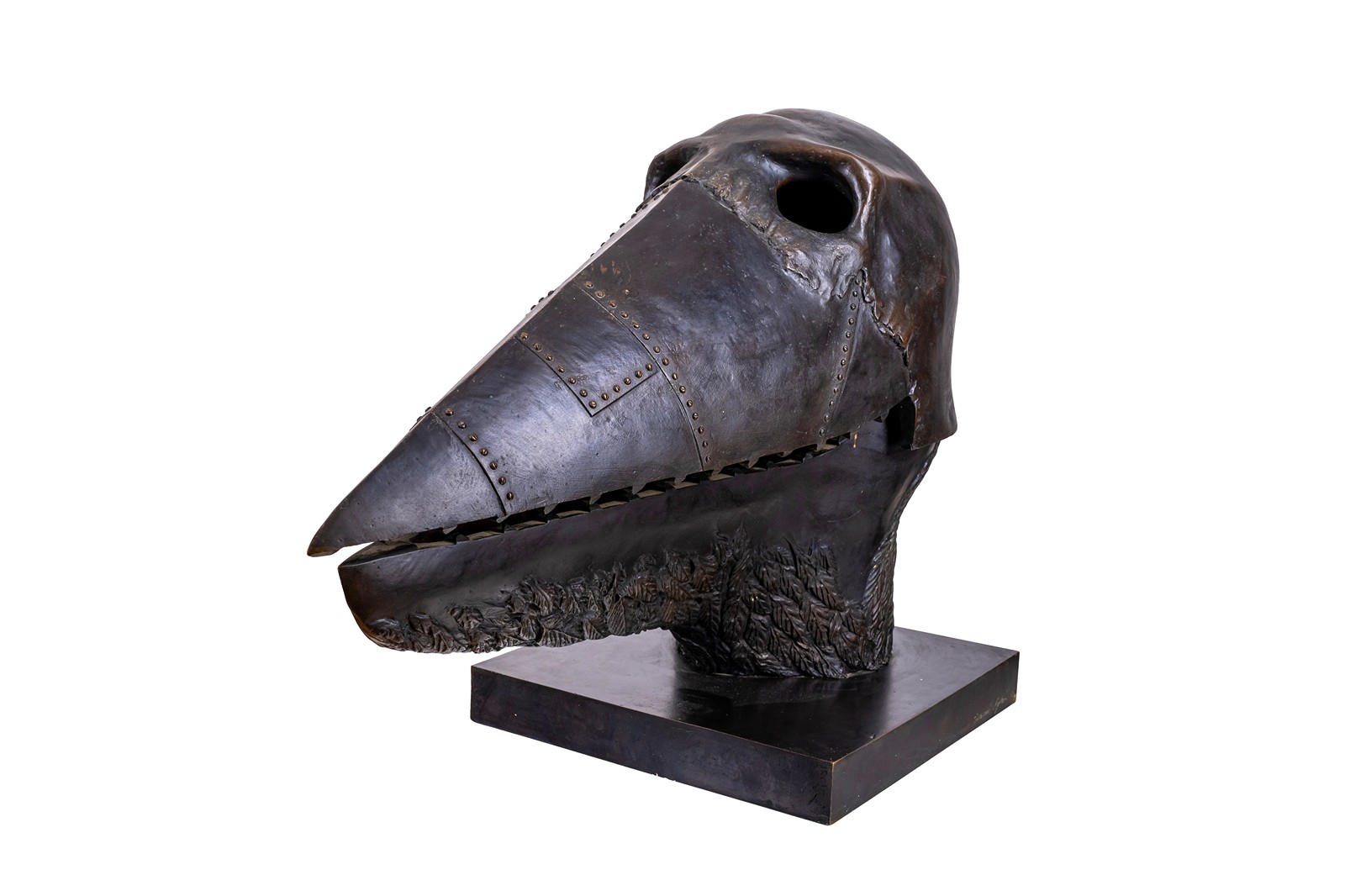 Jaromír Rybák (1952) - Robur, hlava