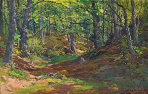 Augustin Mervart (1889 - 1968) - Slunko v lesním úvalu
