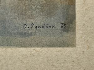 Synáček Otakar - Zátiší s pomeranči