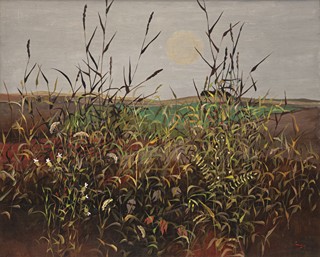 Ota Janeček (1919 - 1996) - Trávy