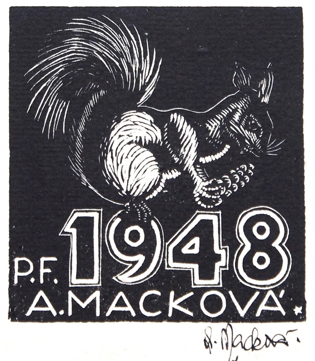 Anna Macková  -  VEVERKA PF vlastní A. MACKOVÁ