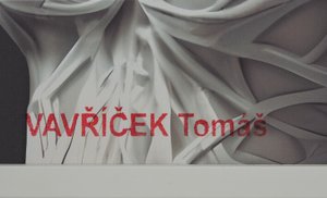 Tomáš Vavříček - EDITA