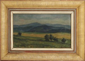 František Fiala - VÝHLED DO KRAJINY