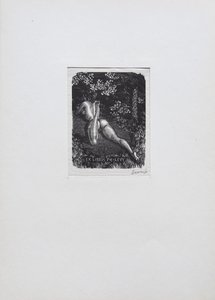 Mark Severin - ČTENÍ NA PALOUČKU – ex libris P.E. LÉVY