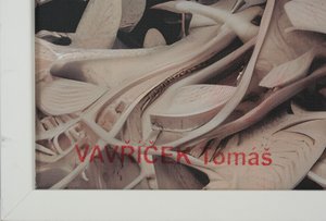 Tomáš Vavříček  -  VERONIKA