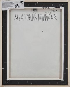 Tomáš Vavříček  -  VERONIKA