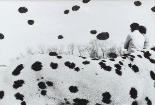 ŽUPNÍK Peter (*1961): Dalmatin