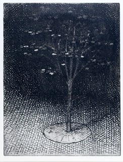 Marie Blabolilová (1948) - Strom pod lampou