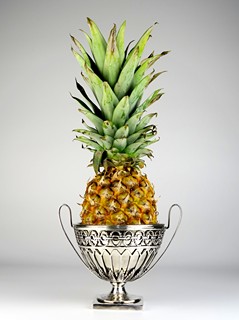 Stříbrný empírový košík na ananas