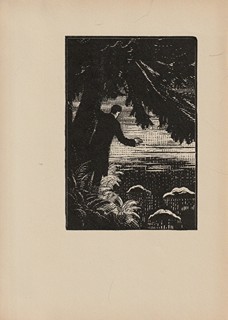 Jan Neruda - Ballady a romance od Jana Nerudy