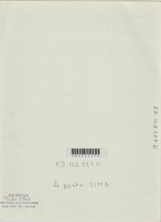 Josef Šíma (1891 - 1971) - Fotografie malíře Josefa Šímy