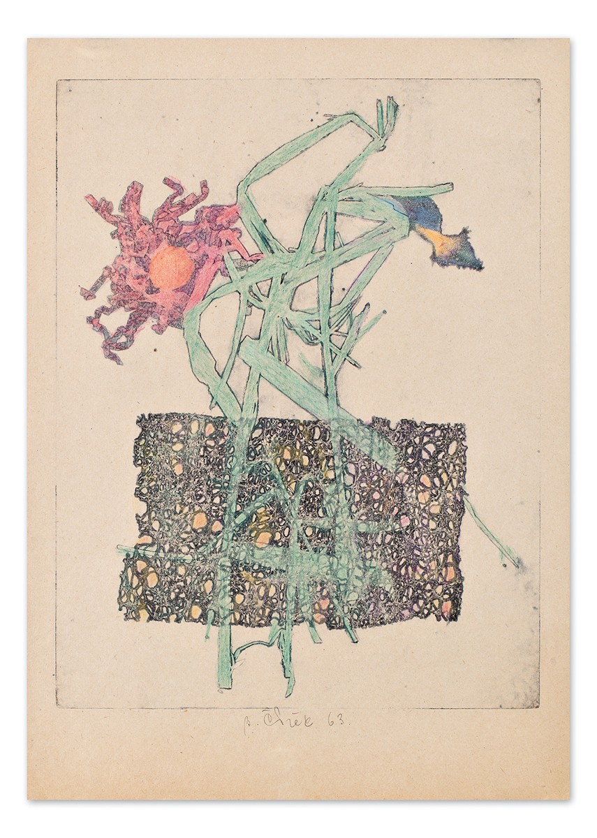 Čížek Bohumil (1913-1989) - Kosatce