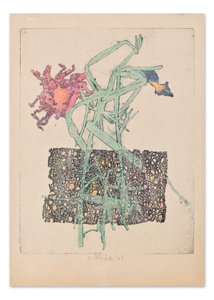 Čížek Bohumil (1913-1989) - Kosatce