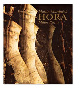 Milan Rúfus, Martin Martinček (1913-2004) - Hora