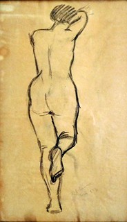 R.Schneider - Akt
