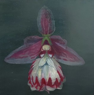 Nikl Petr (1960) - Orchidej