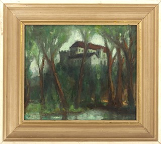 V. Novohradský - ZÁMEK LETOVICE