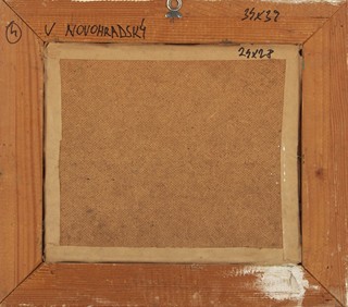 V. Novohradský - ZÁMEK LETOVICE
