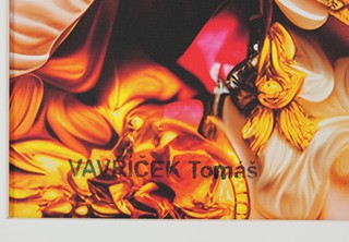 Tomáš Vavříček - DALILA