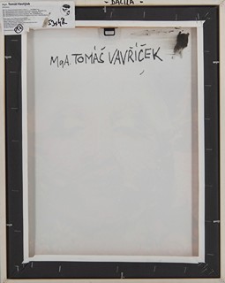 Tomáš Vavříček - DALILA