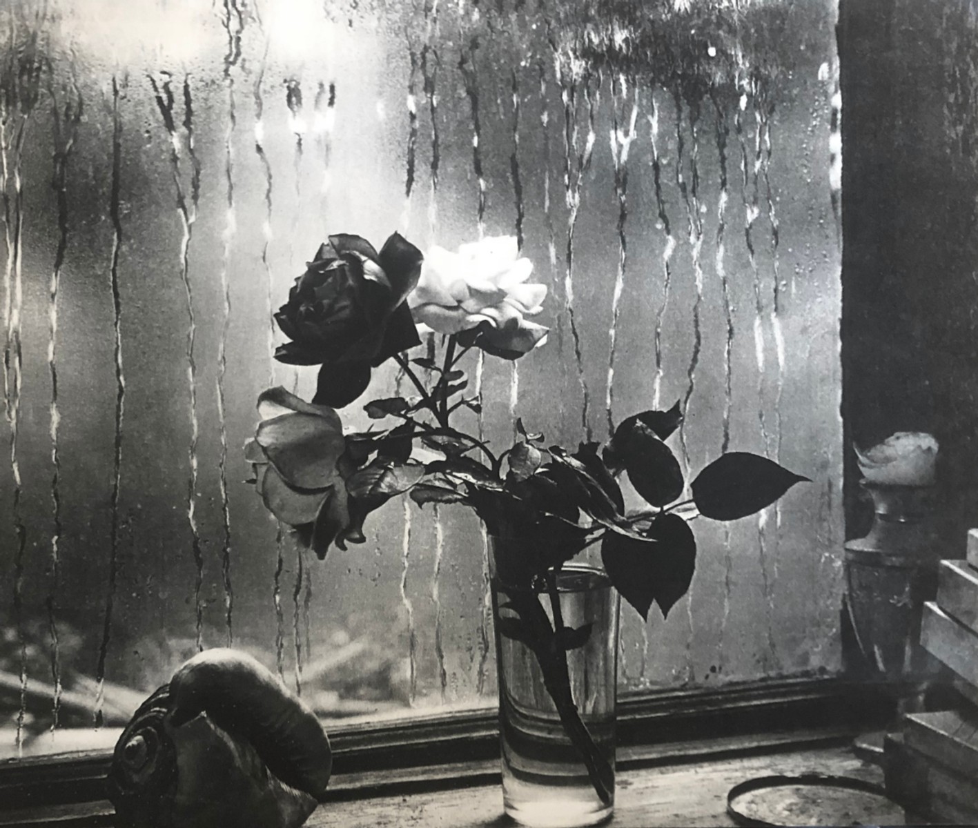 Sudek Josef - Růže na okně