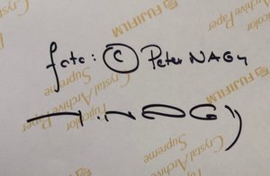 Nagy Peter - Akt
