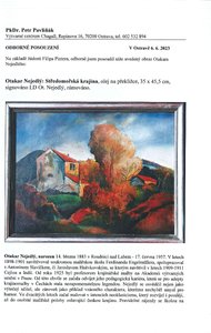 Otakar Nejedlý