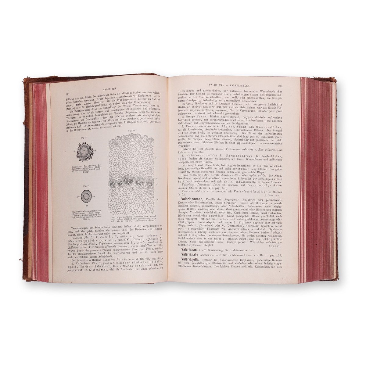 GEISSLER, Ewald, MOELLER, Josef: Real-Encyclopädie der gesammten Pharmacie. Díl X.