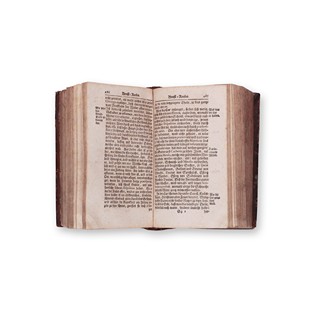 BRÄUNER, Johann Jacob (1647-?): Thesaurus sanitatis