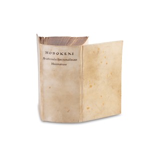 HOBOKENI, Nicolai (1632-1678): Anatomia secundinae humanae