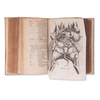 HOBOKENI, Nicolai (1632-1678): Anatomia secundinae humanae