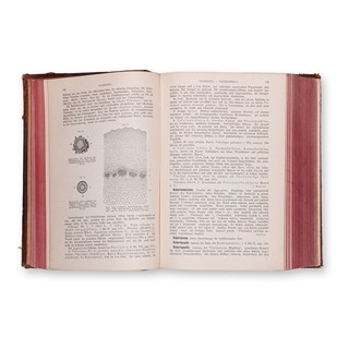 GEISSLER, Ewald, MOELLER, Josef: Real-Encyclopädie der gesammten Pharmacie. Díl X.