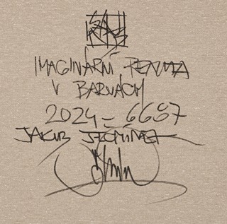 Ječmínek Jakub - Imaginární realita v barvách