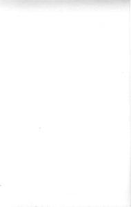 Sudek Josef - bez názvu