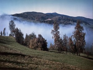 Kabíček Jan - Mlha nad poli