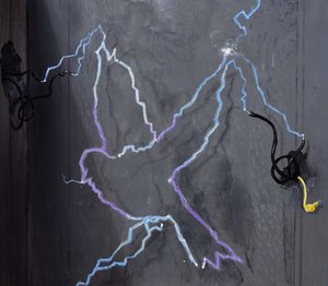 Ondřej Basjuk (1983) - Electric Pigeon