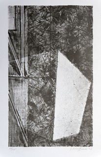Pavel Hora: Clona I